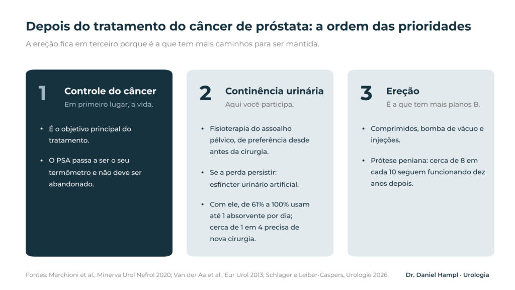Prioridades depois do tratamento do câncer de próstata: controle do câncer, continência urinária e ereção, com os recursos e os números de cada uma