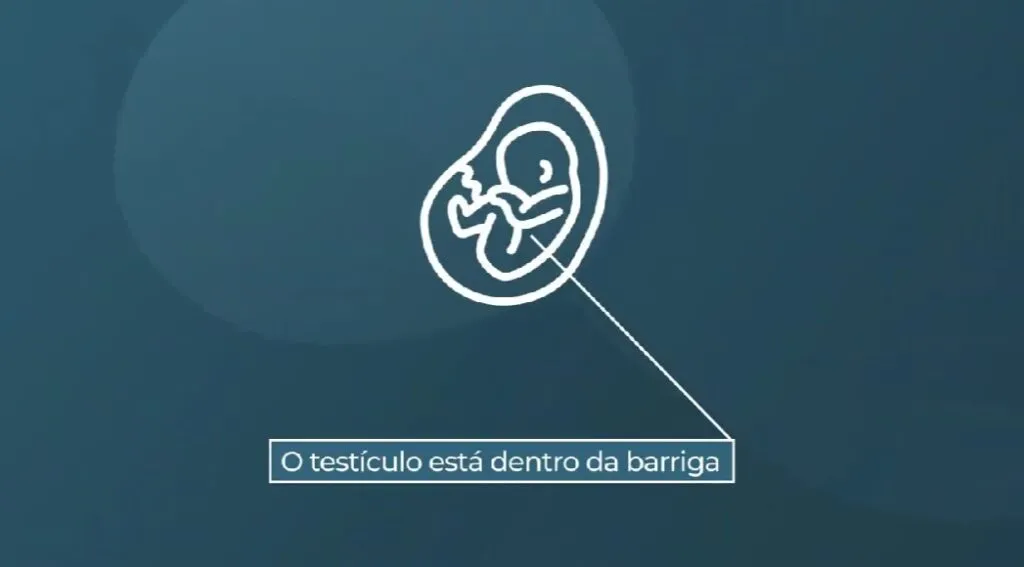 A Relação Entre Dor no Testículo e na Barriga